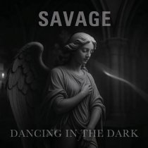 Savage - Dancing in the dark Radio Version