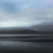 Forsch - Wooden Prince