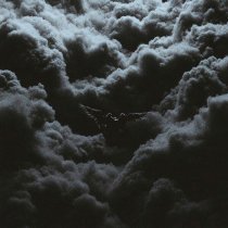 A.V.G - Ангел или демон