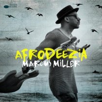 Marcus Miller, Ben Hong - I Still Believe I Hear