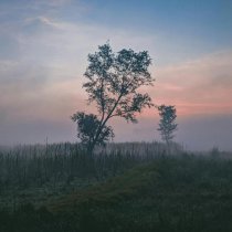 chiderprod, Past Day - In the Morning