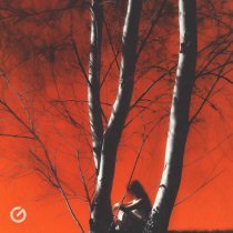 aggii - берёза