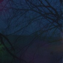 Plenka - about yourself