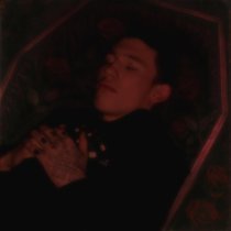 Трип в голове, Автостопом по фазе сна - Панацея