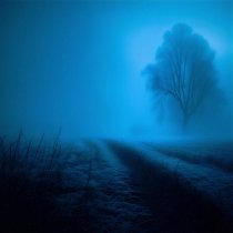 Moook - Echoes of Melancholy