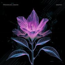 Framasound, Snezhik - Забирай