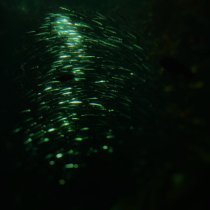 postdrome - From Heaven, from Nowhere