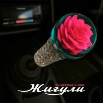 Ленинград, Зоя - Жигули