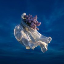 Парнишка - Ветер