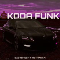 BXBYSPESH, ASTRXNXM - SKODA FUNK (Slowed version)