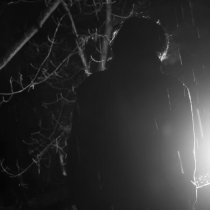 королевский XVII - sv moscow