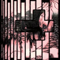 BLAZER 993 - ублюдком