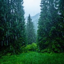 Александр Вольский, Звуки сна Окружающие Шумы - Шум Окружения Звуки Дождя Белый Шум Для Сна Атмосферные Звуки 5
