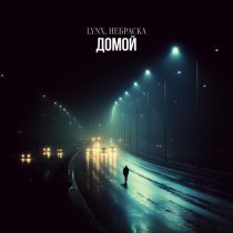 LYNX, Небраска - Домой