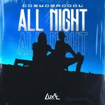 Cosmoracoon - All Night