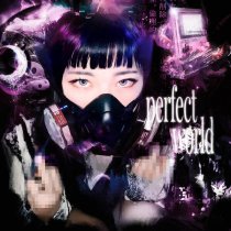 3ntry, DXNKXR, DIGITAL REY - Perfect World