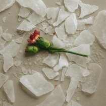 Sverkay - кто знал