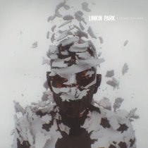Linkin Park - SKIN TO BONE