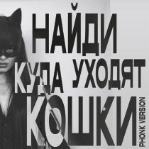 НайдИ - Куда уходят кошки (Phonk Version)