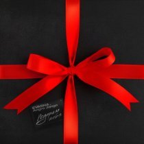 EVASHA, Andro Jango - Подарила тебя