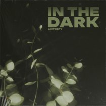 Lintrepy - In the Dark
