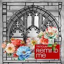 TRITICUM - Remind Me