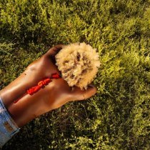 Reggie Becton - PRETTY B**CHES