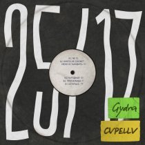 25/17, Gydra, CVPELLV - Народная (dnb remix)