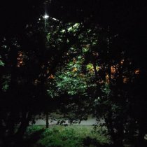 radiotehnika - в свете неона