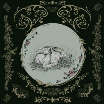 Baby Bugs - Wishing For Wounds