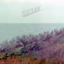 Пустая Электричка - Родные края