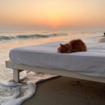 Zayatz - красивые девчонки всегда сонные