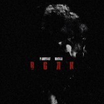 В АККУРАТ, Magvai - Волк