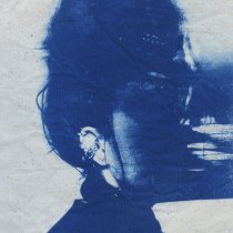 Васса Железнова - Сад замороженных снов