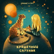 Дальше В Лес - Крошечный спутник
