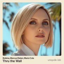 Bobina, Marcus Dielen, Mario Cola - Thru the Wall