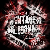 SICXRIUS - MONTAGEM SILICONADE (Slowed)