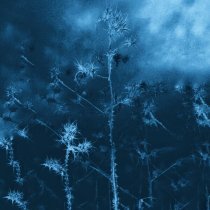 DJ Monsy, genotauz - Nanana