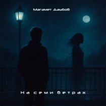 Магамет Дзыбов - На семи ветрах