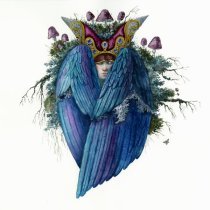 ЖАБА - Колодец