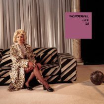 Purple Disco Machine, Hurts - Wonderful Life '25 - Extended