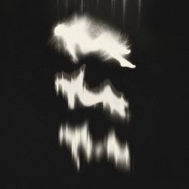 Dear Youth - Where You Haunt Me