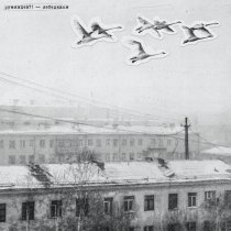 румянцев?! - лебединая