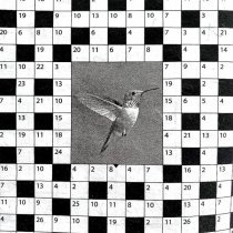 узор от кино, Latruha, xxxsanek - Germany