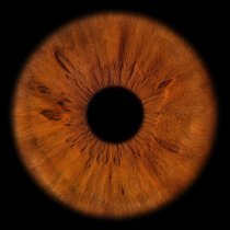 Terry - Страшный сон перфектциониста (демо)