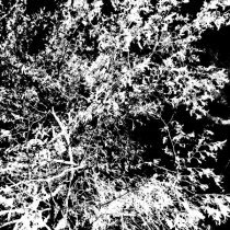 Silecut, Ineedrest - Они ушли