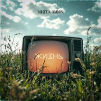 Nikita Minin - Жизнь