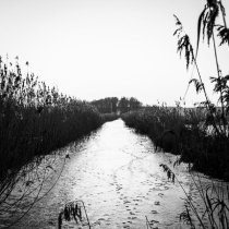 Armando Letico - Jada Temple