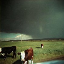 Рудольф Страусов - Лето