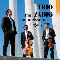 Trio Zadig - Piano Trio No. 1 in D Minor, Op. 49, MWV Q 29: I. Molto Allegro agitato